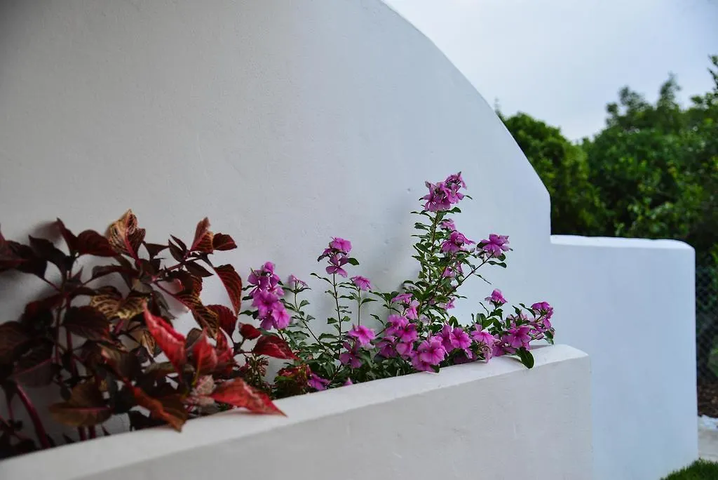 Apartamentos Los Naranjos Vejer de la Frontera 0*,  Spain